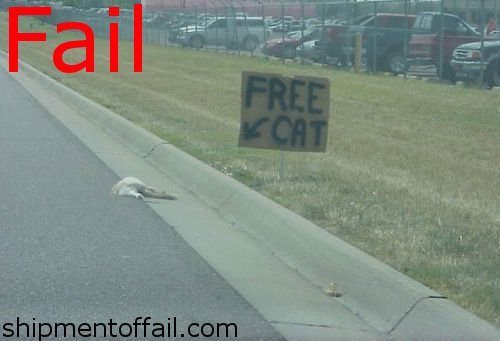 funny-sign-free-dead-cat-on-highway1.jpg