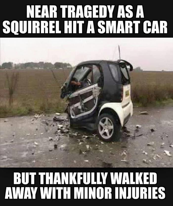 funny-smart-car.jpg