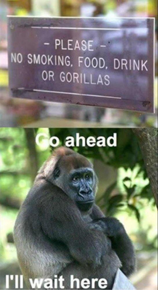 funny-zoo-signs.jpg