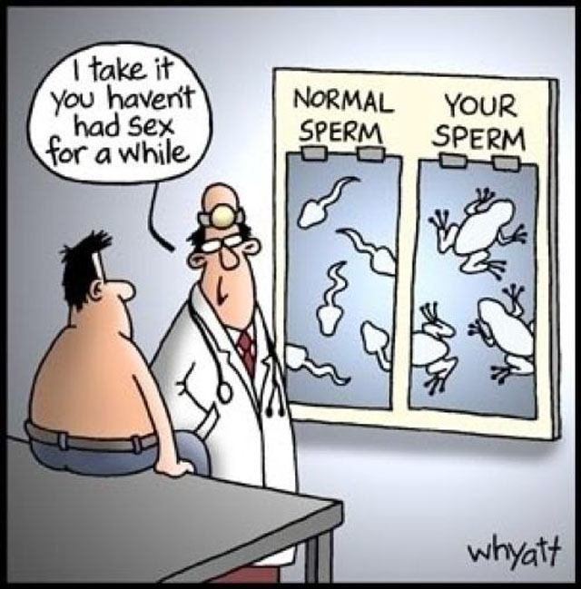 funny55.jpg