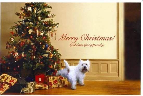 funny_christmas_picture_4.jpg