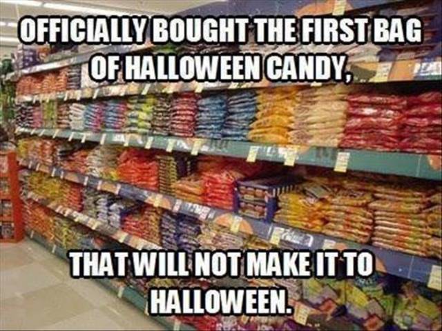 funny_picdump_1060_640_24.jpg