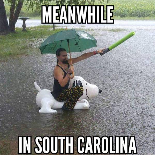 funny_picdump_1070_640_36.jpg