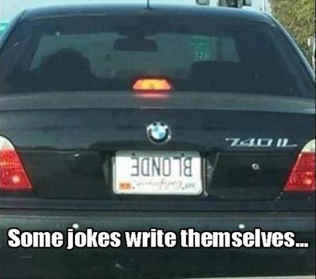 funny_picdump_1079_640_36.jpg