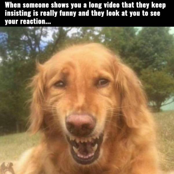funny_picdump_1168_640_38.jpg