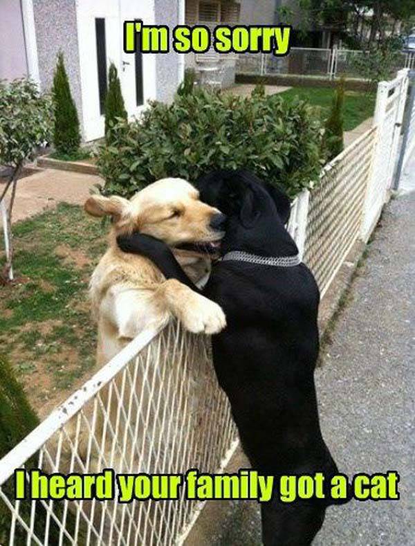 funny_picdump_27.jpg