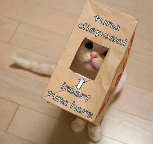 funnypicdump1163_640_19.jpg
