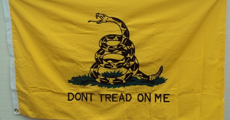 Gadsden-Flag.jpg