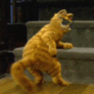 gar.gif