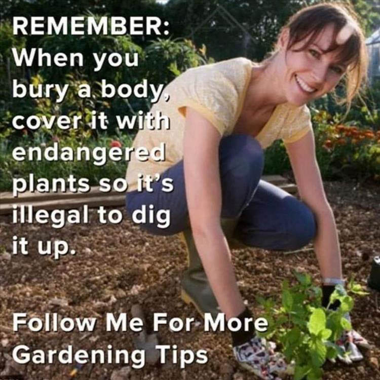 gardening-tips-1.jpg