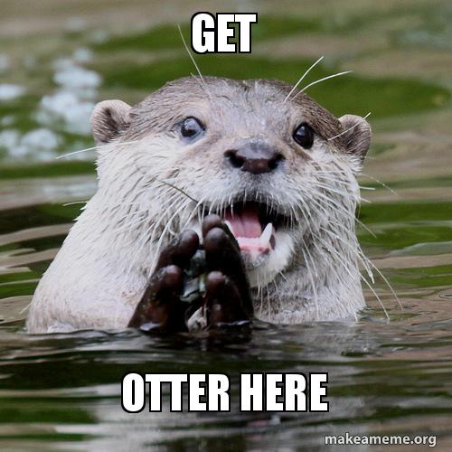 get-otter-here-9kedbt.jpg