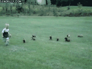 get8.gif