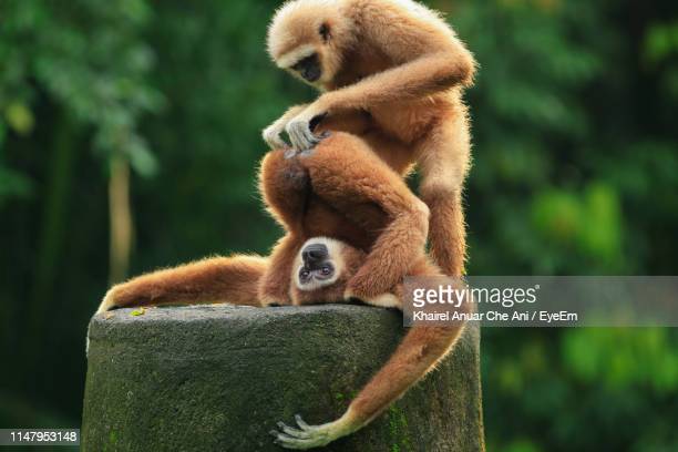 gettyimages-1147953148-612x612.jpg