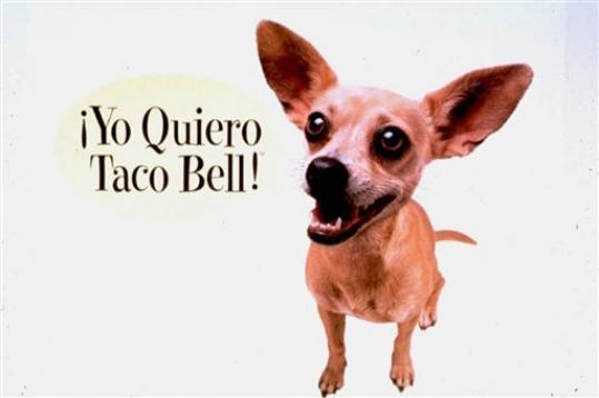Gidget Taco Bell.jpg