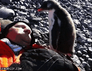 gifdump_1017_24.gif