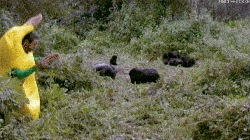 gifdump_1083_02.gif