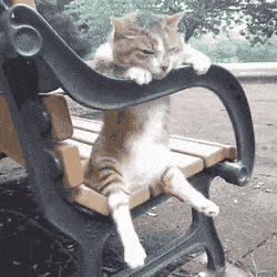 gifdump_1116_21.gif