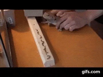 gifdump_1130_11.gif