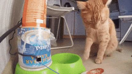 gifdump_1139_22.gif