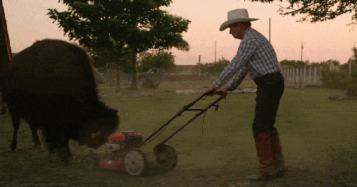 gifdump_1143_09.gif