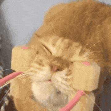 gifdump_1144_01.gif