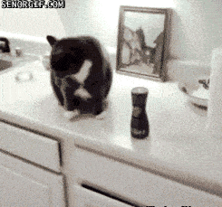gifdump_1144_25.gif