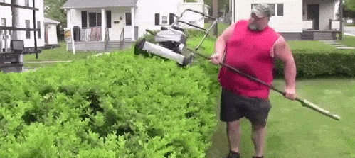 gifdump_1154_01.gif