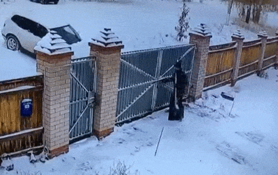 gifdump_1215_16.gif