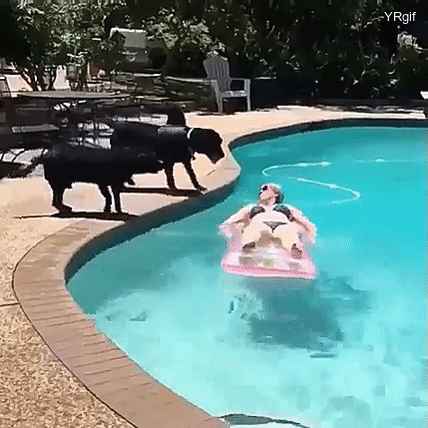 gifdump_1258_13.gif