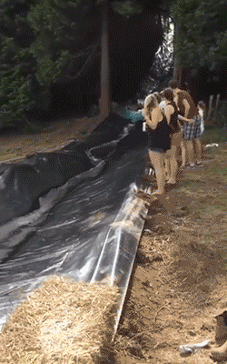 gifdump_1258_29.gif
