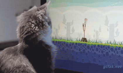 gifdump_1268_27.gif