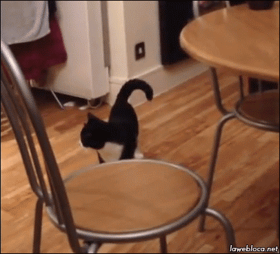 gifdump_1269_28.gif