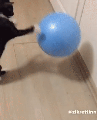 gifdump_1276_24.gif