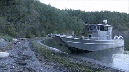 gifdump_1279_28.gif