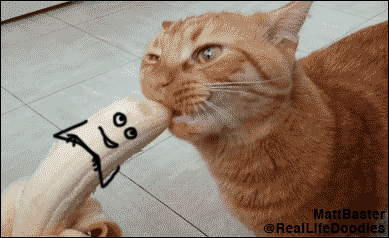 gifdump_1280_02.gif