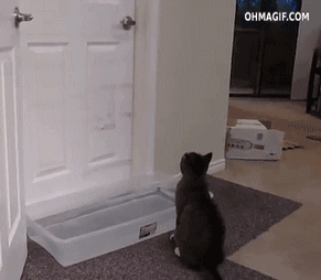 gifdump_1280_05.gif
