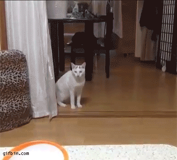 gifdump_1280_25.gif
