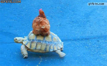 gifdump_1283_29.gif