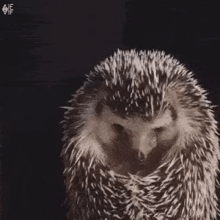 gifdump_1285_27.gif