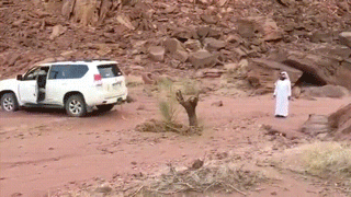 gifdump_1320_11.gif