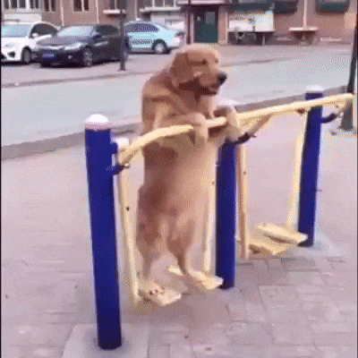 gifdump_1320_14.gif