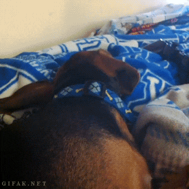 gifdump_1348_30.gif