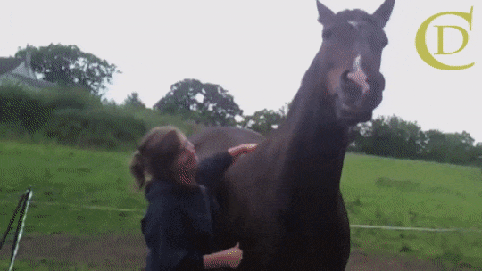 gifdump_1351_04.gif