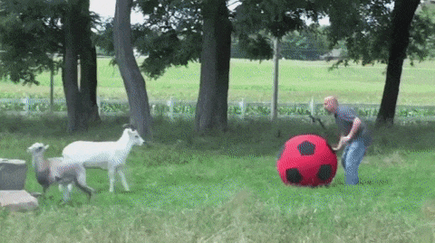 gifdump_1352_12.gif