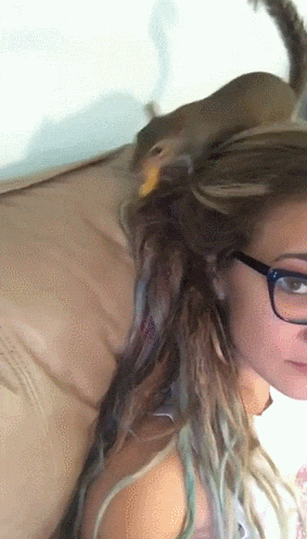 gifdump_1359_08.gif