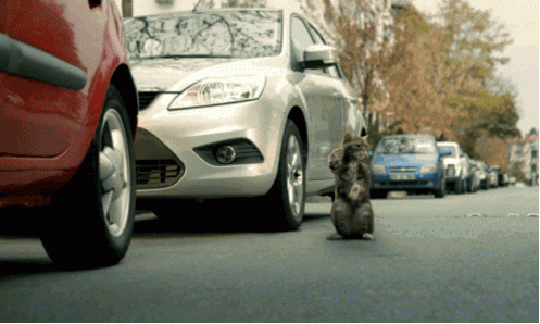 gifdump_1381_03.gif