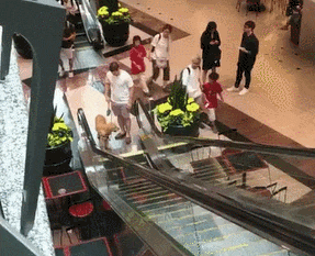 gifdump_1383_20.gif