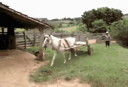 gifdump_1399_03.gif