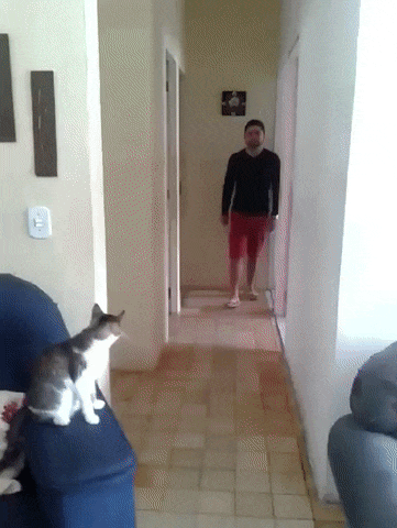 gifdump_1400_06.gif