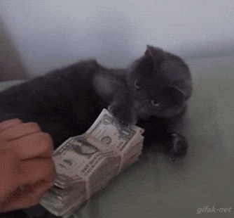 gifdump_1407_28.gif